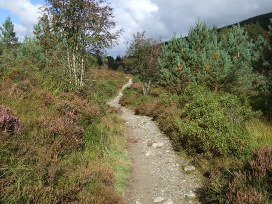 Tyndrum