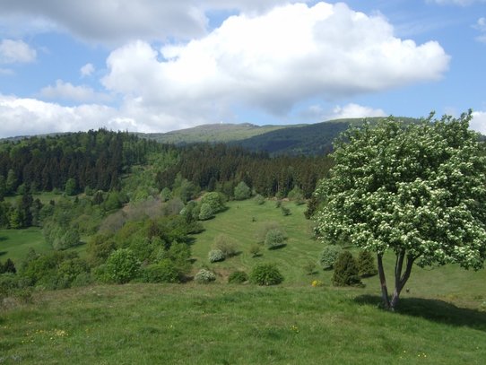 Samstag Grand Ballon